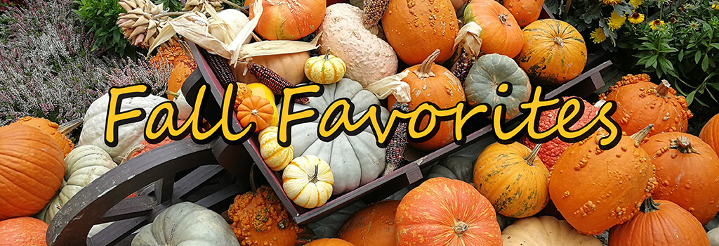 Fall Favorites